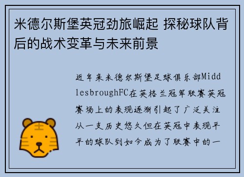 米德尔斯堡英冠劲旅崛起 探秘球队背后的战术变革与未来前景 米德尔斯堡英冠劲旅崛起 探秘球队背后的战术变革与未来前景